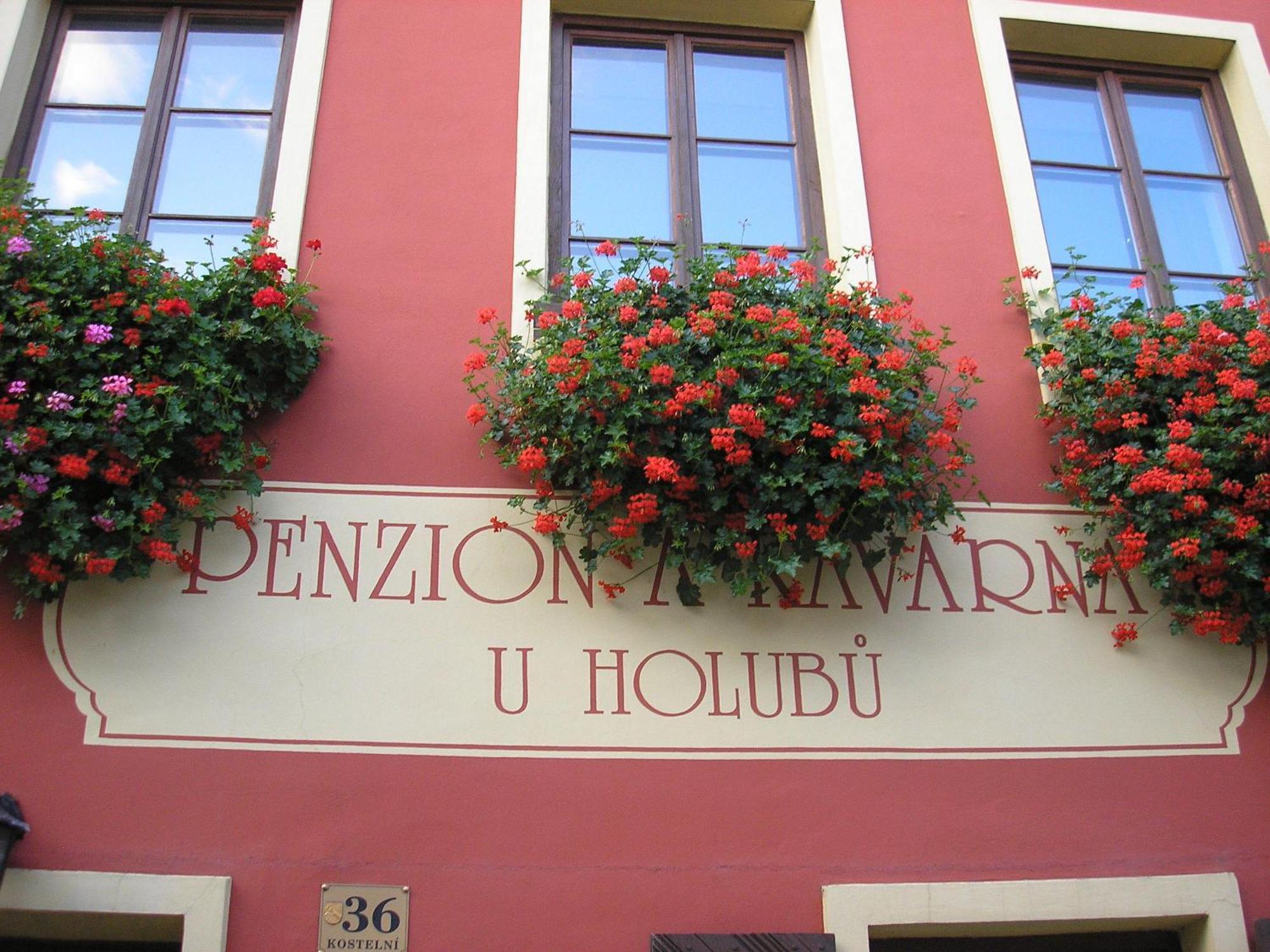 Penzion U Holubu Novy Jicin Hotel Exterior photo